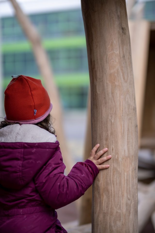 Carouge Ecole Val d’arve